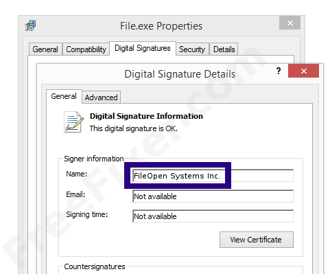 Screenshot of the FileOpen Systems Inc. certificate